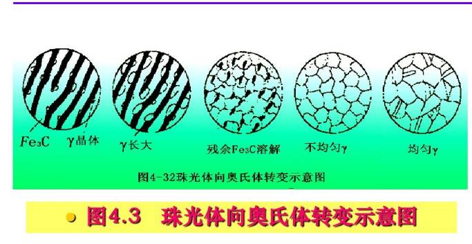 合金元素對(duì)鋼加熱轉(zhuǎn)變和回火轉(zhuǎn)變影響.jpg